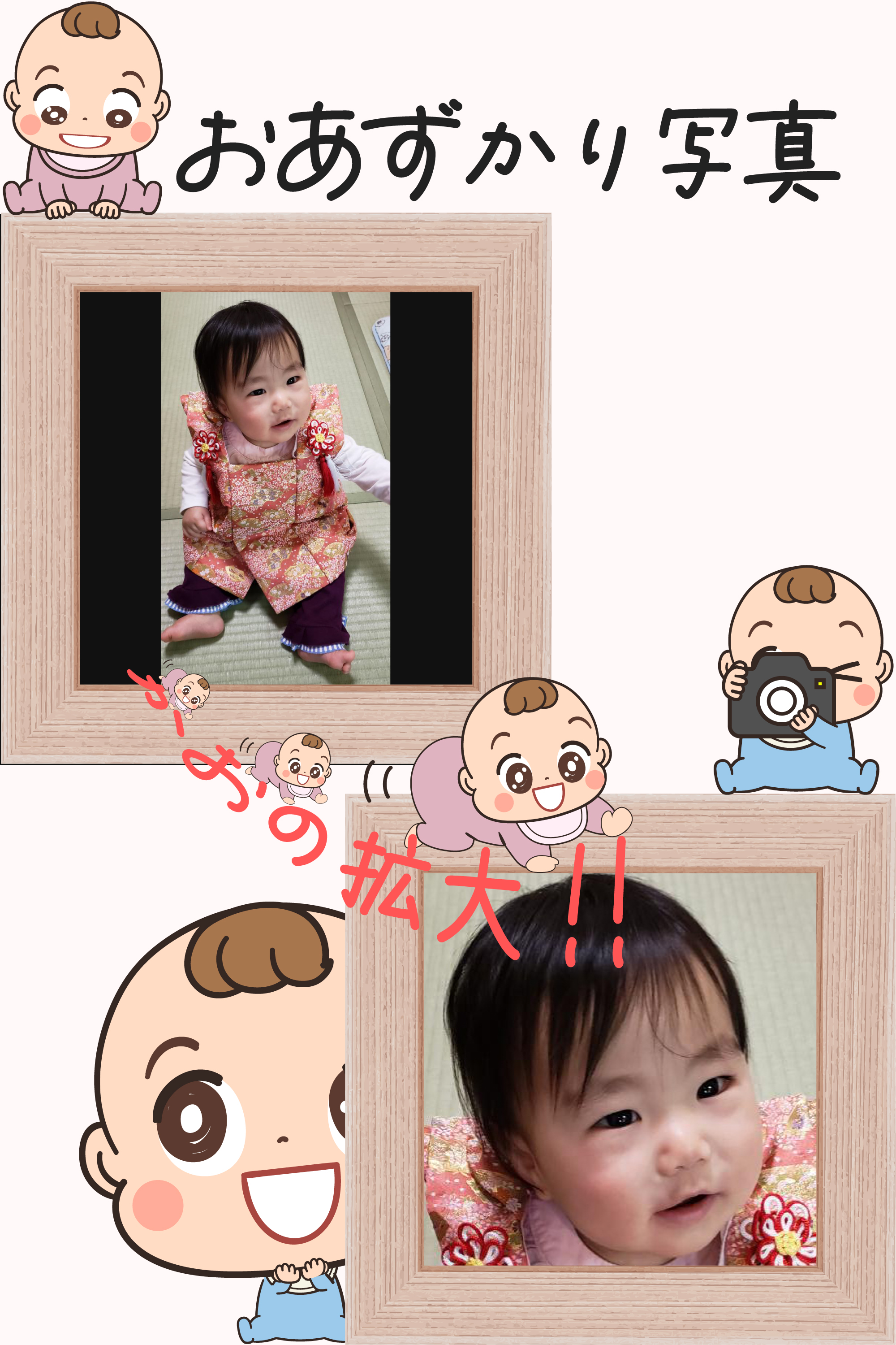 提供された写真