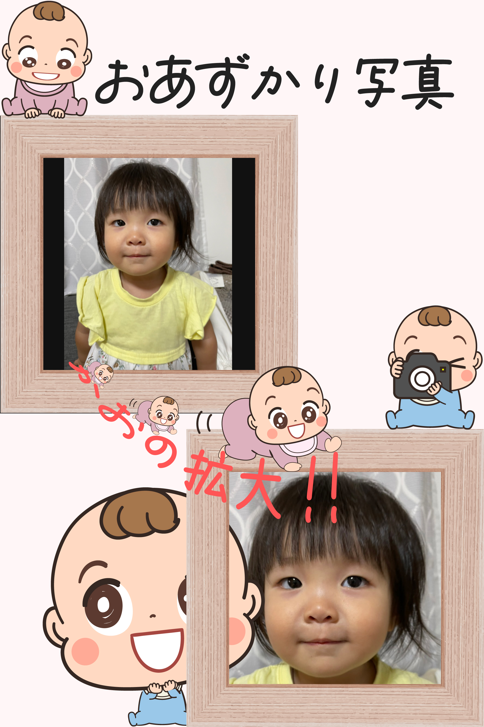 提供された写真