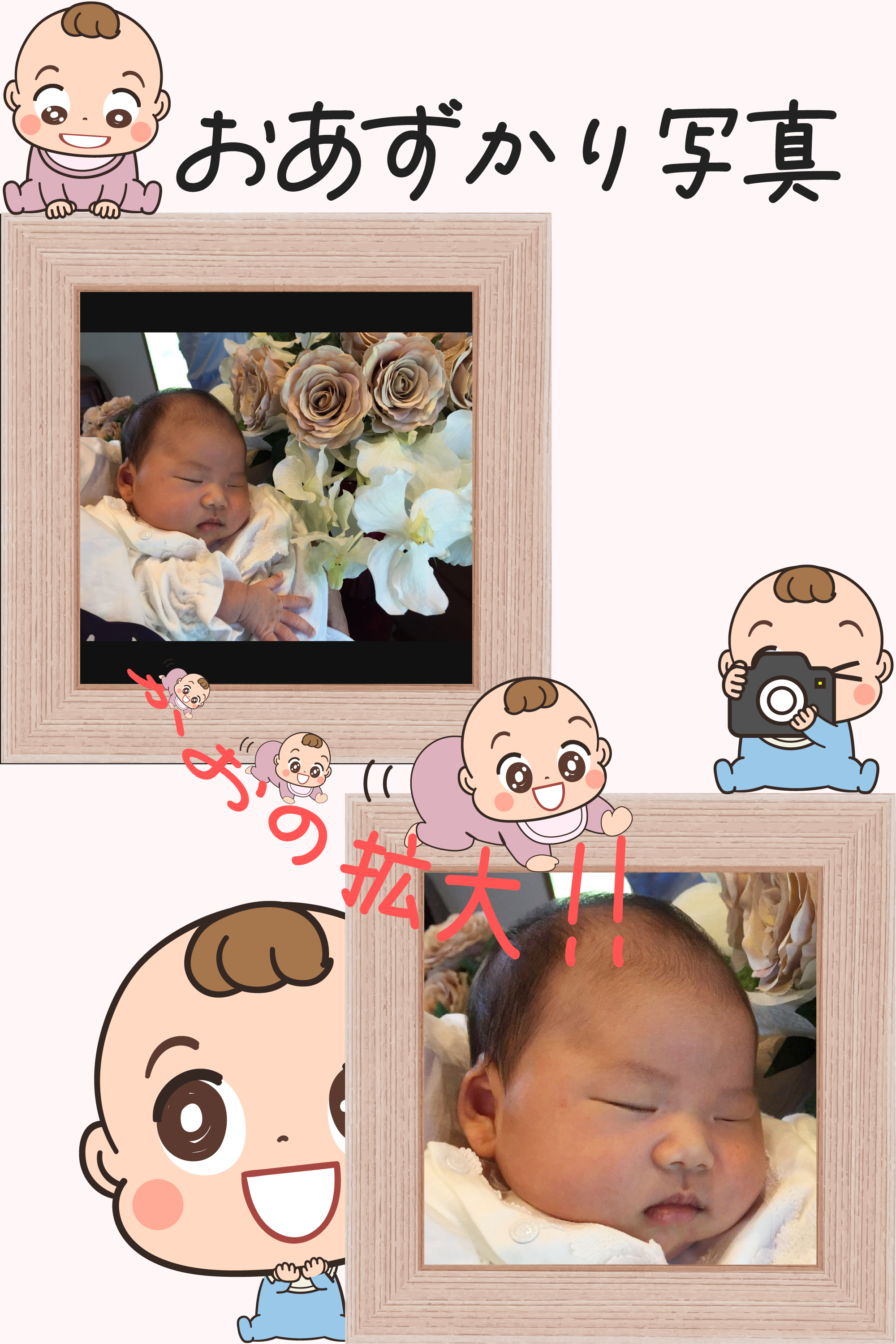 提供された写真