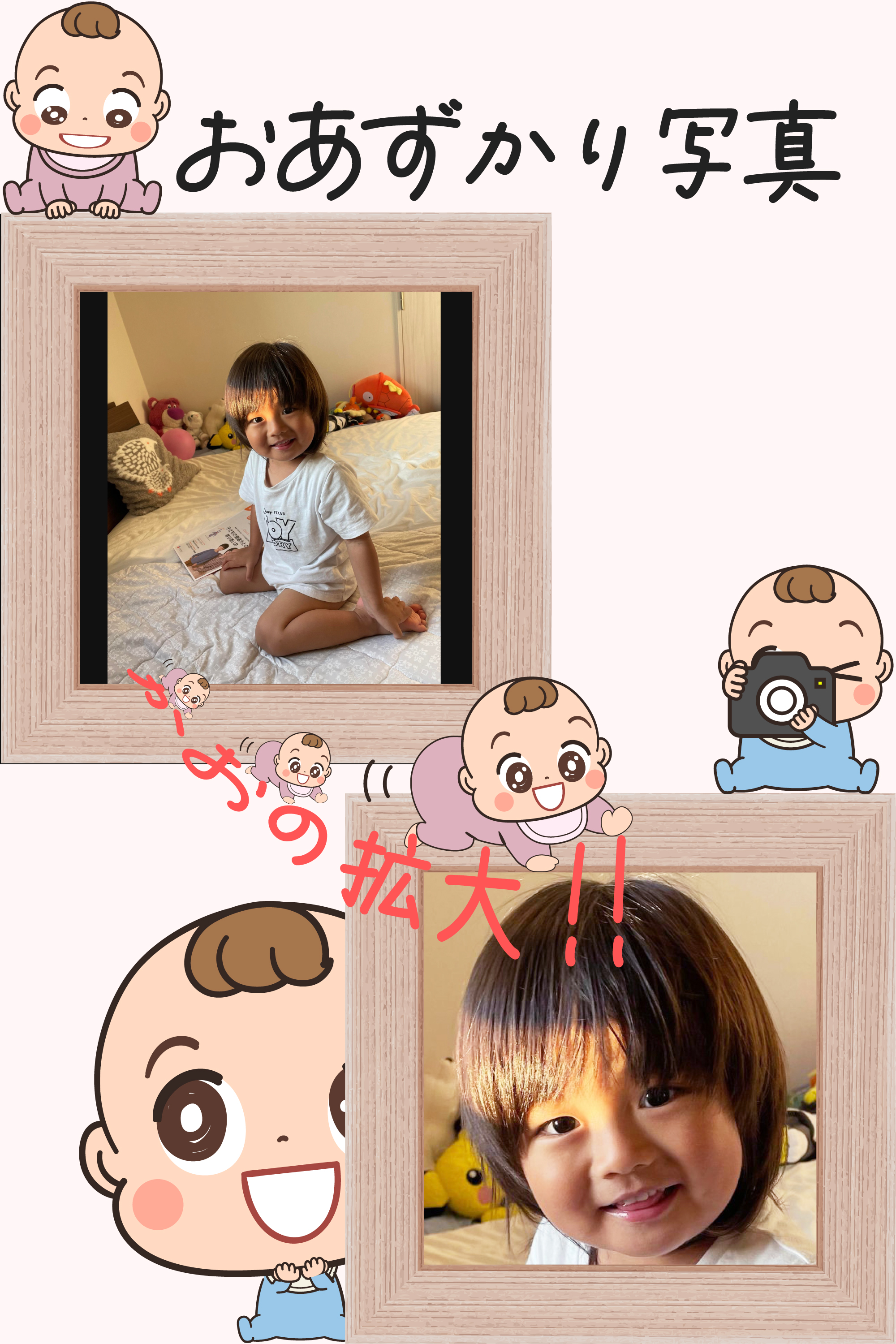 提供された写真