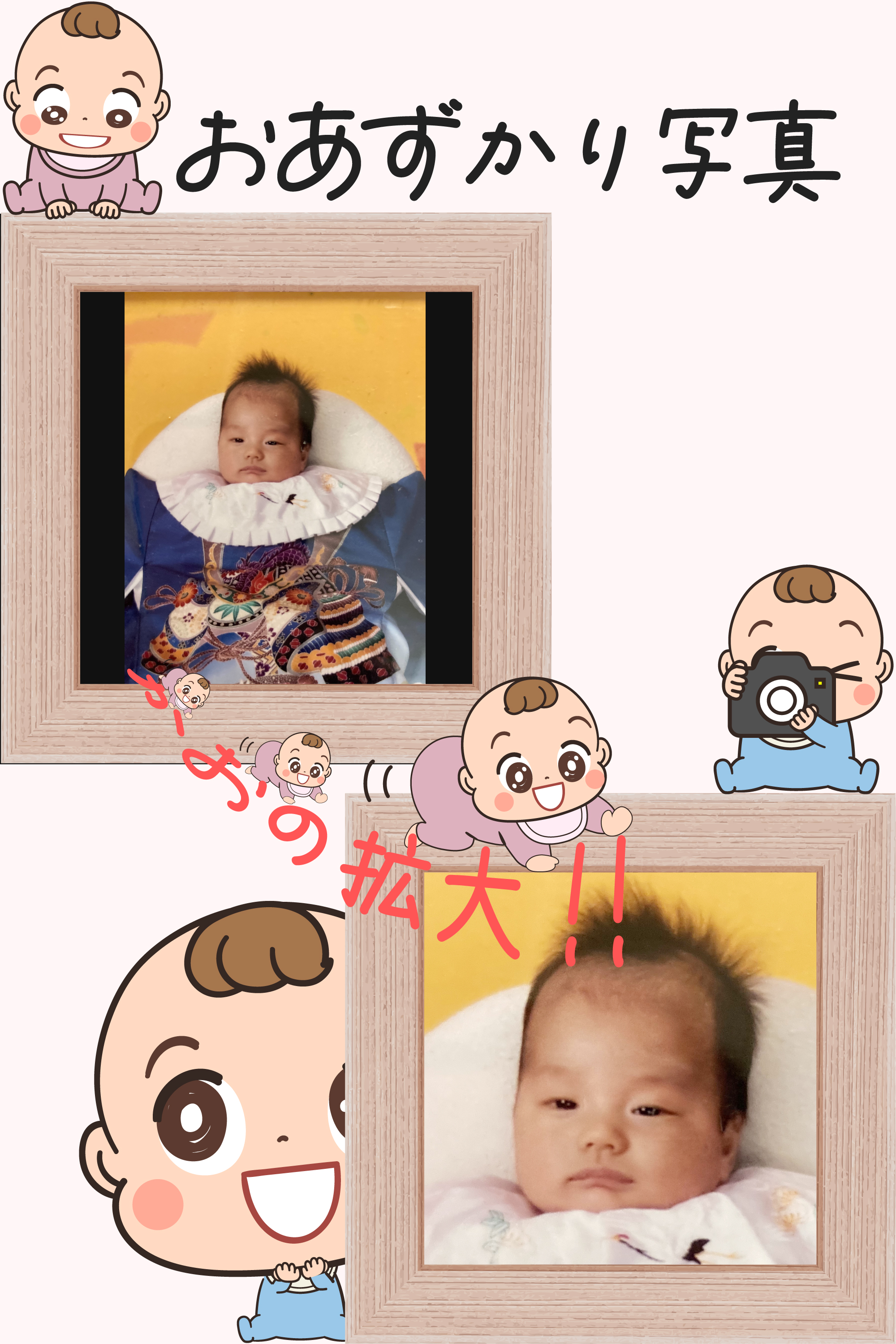 提供された写真